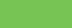 цвет 2016 года - pantone-Green-Flash-15-0146